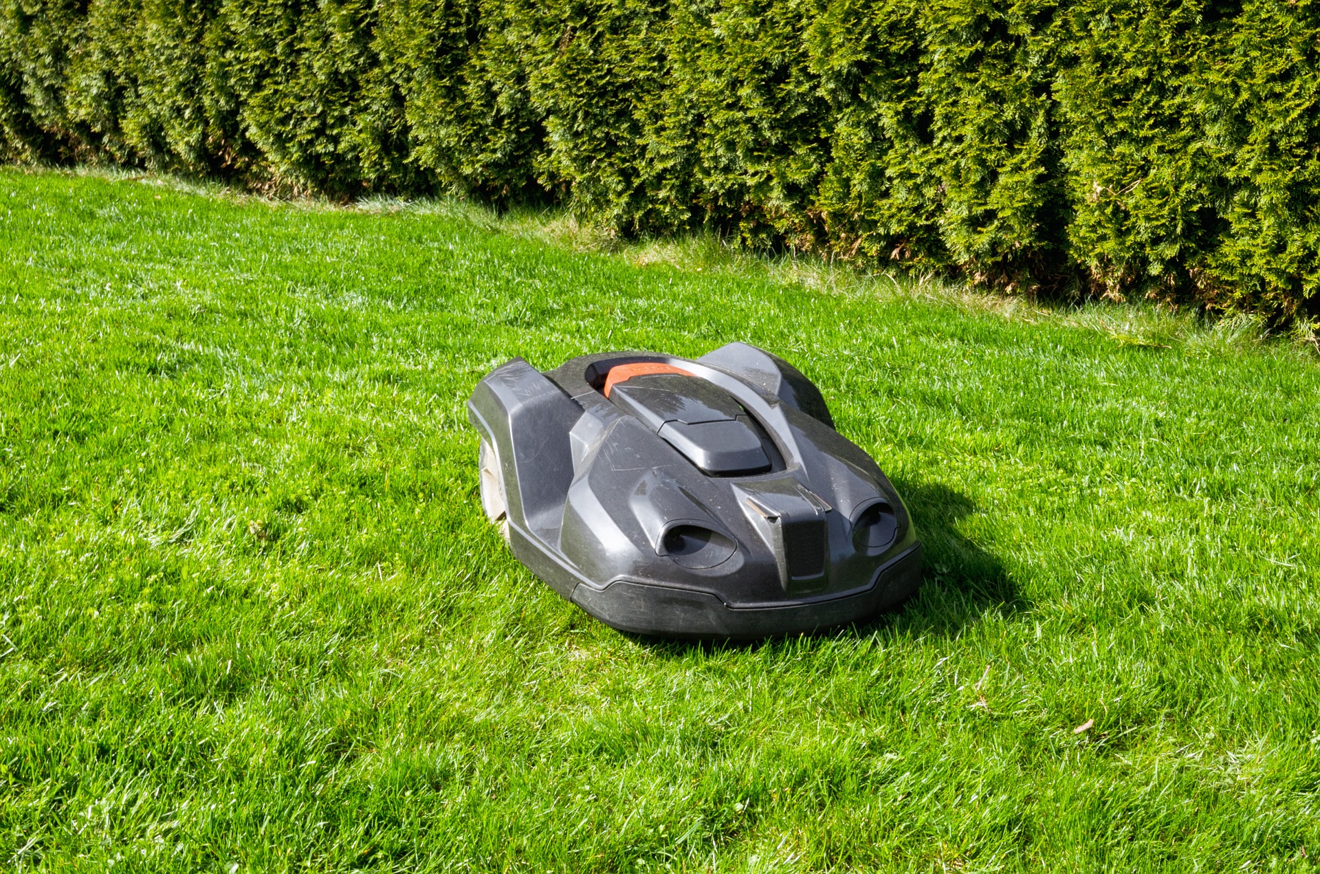 AI Vroom Lawn Mower After